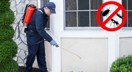 Samandağ Pire İlaçlama böcek ilaçlama ve haşere kontrolü — ilaclama-tr.com